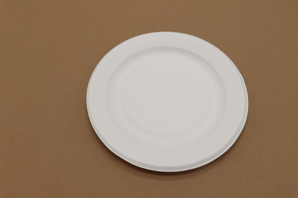 Paper plate 6