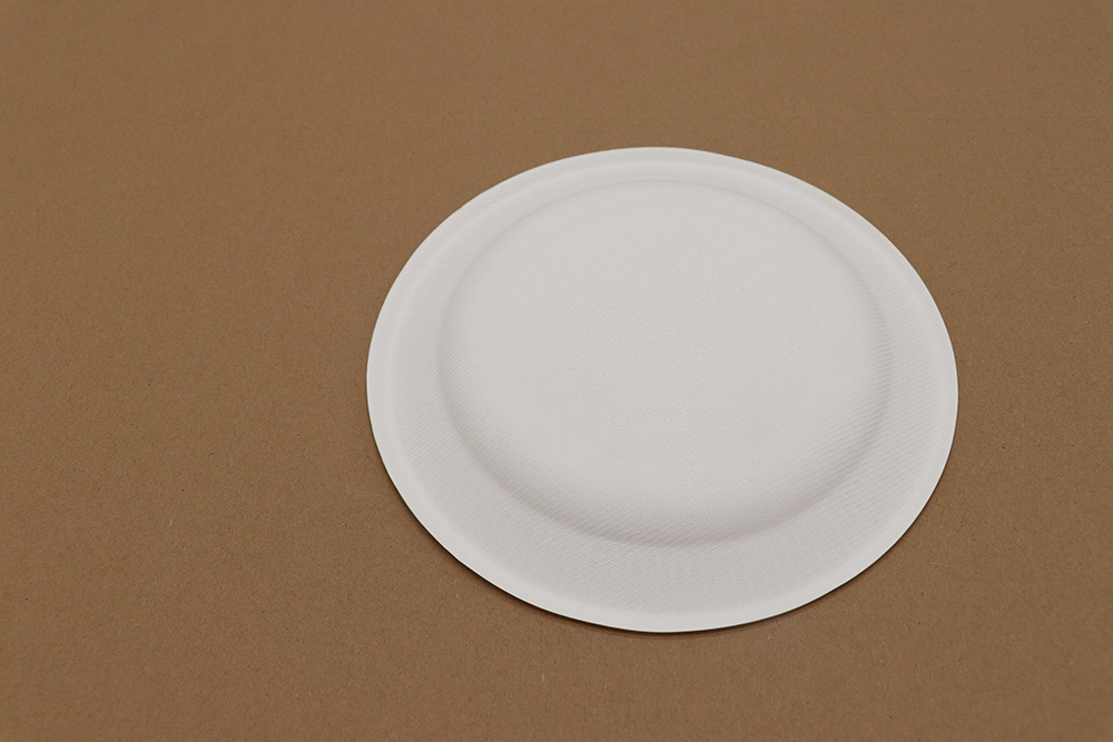 Paper plate 6