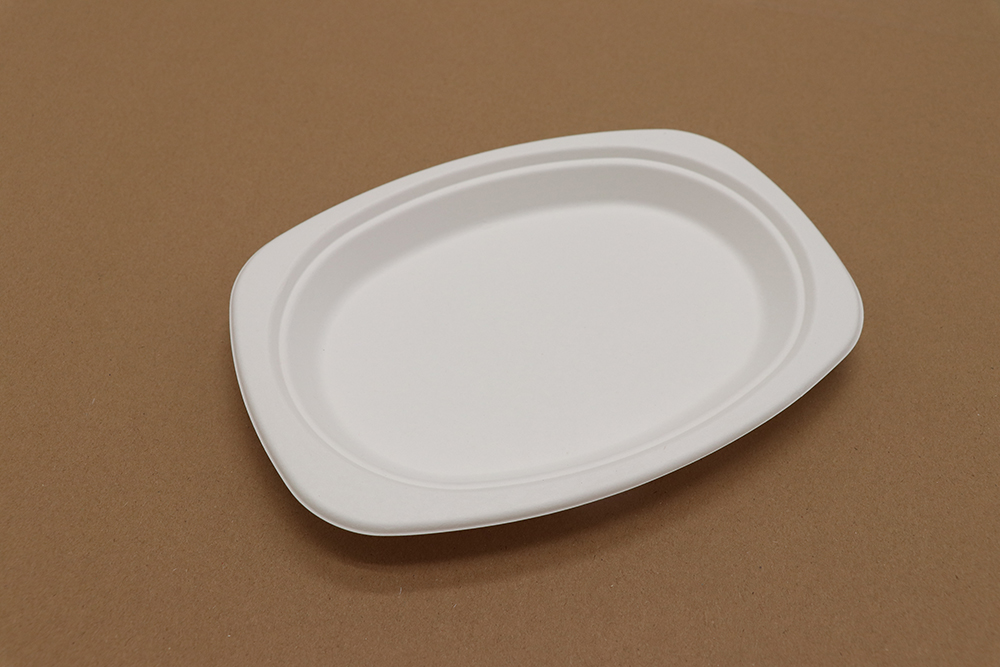 Paper plate 7