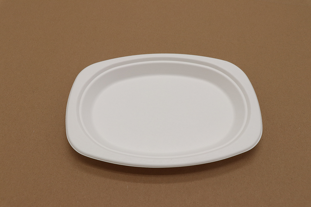 Paper plate 7