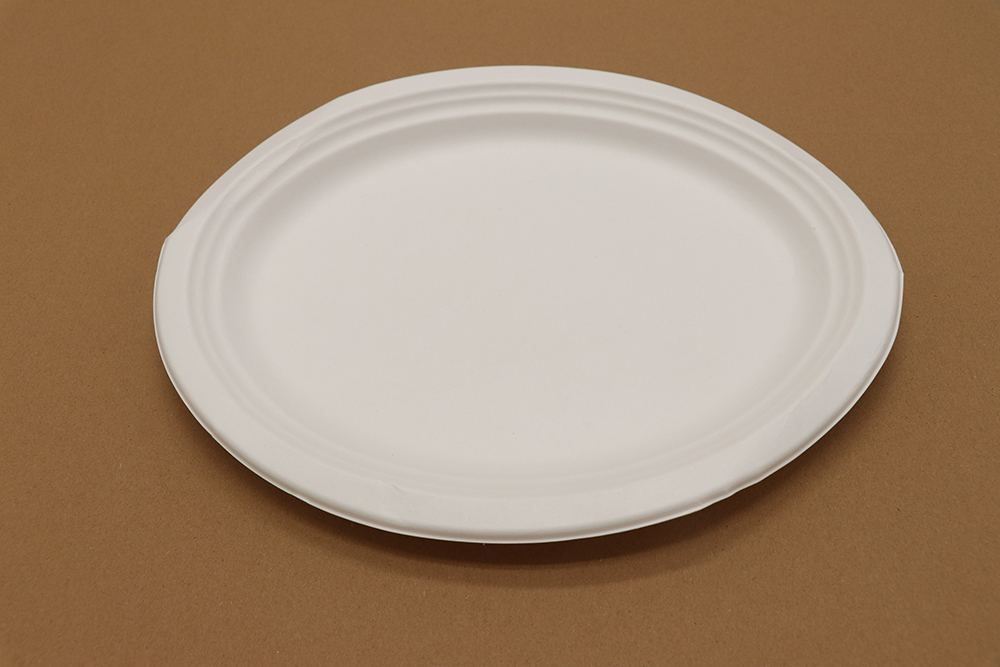 Paper plate 9