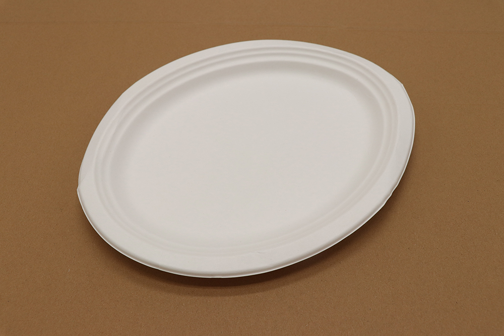 Paper plate 9