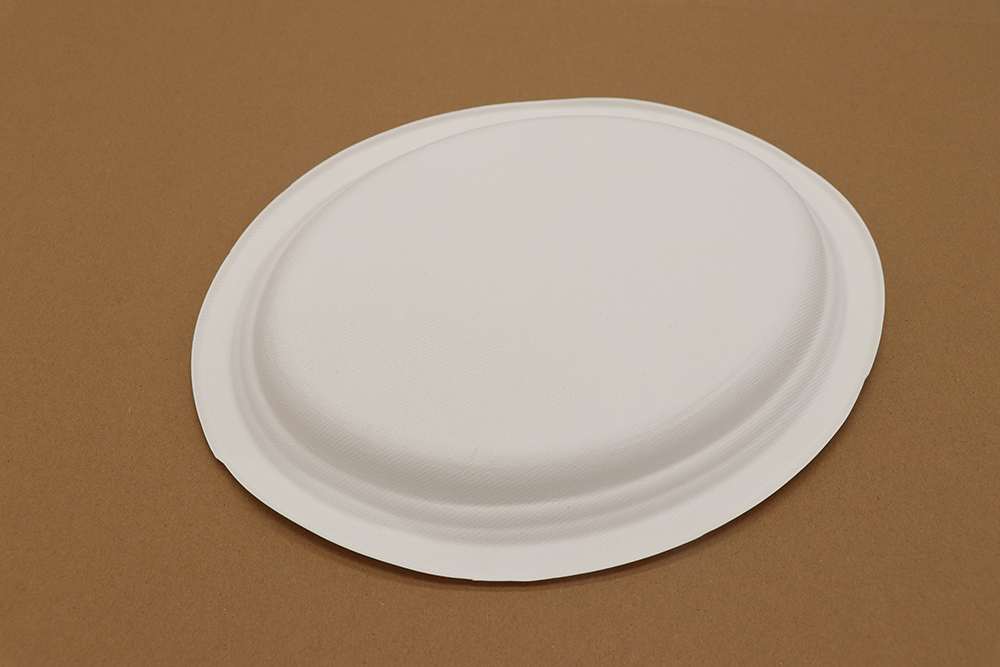 Paper plate 9