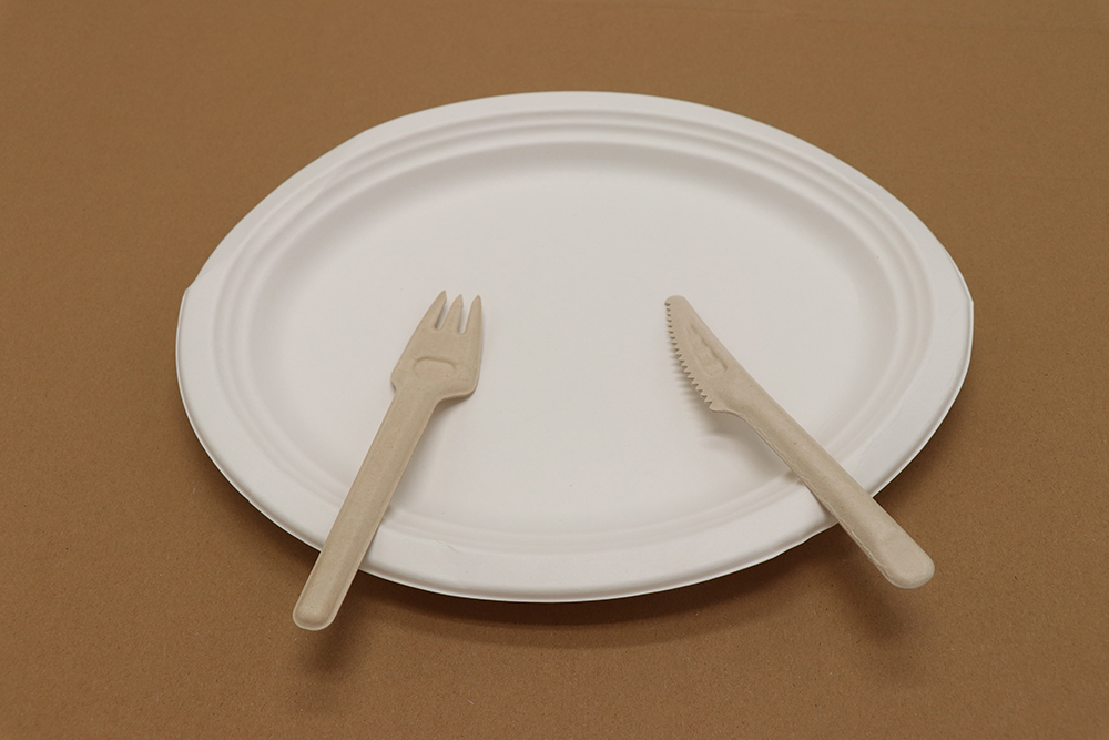 Paper plate 9