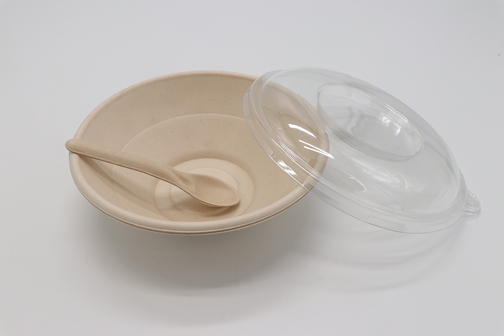 Paper bowl 8