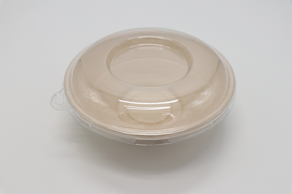 Paper bowl 8