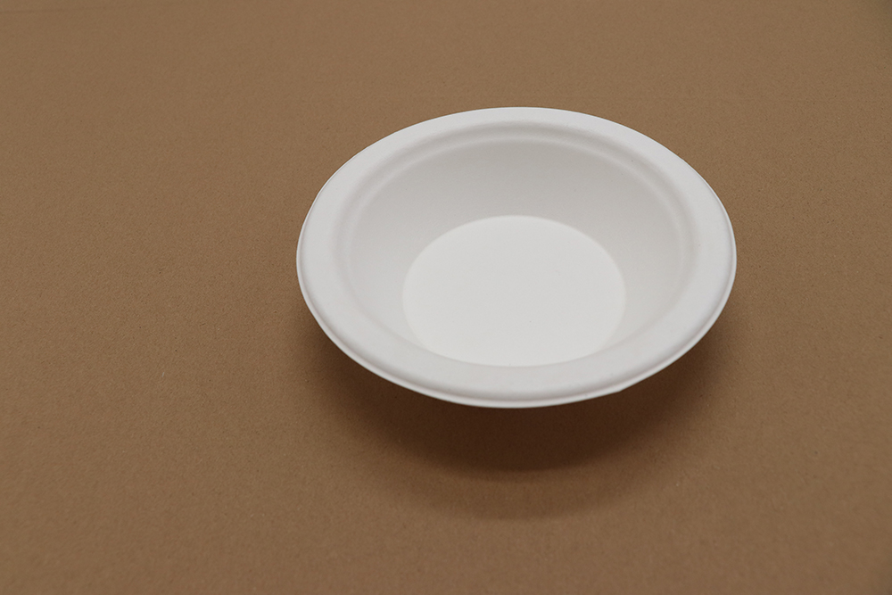 Paper bowl 10