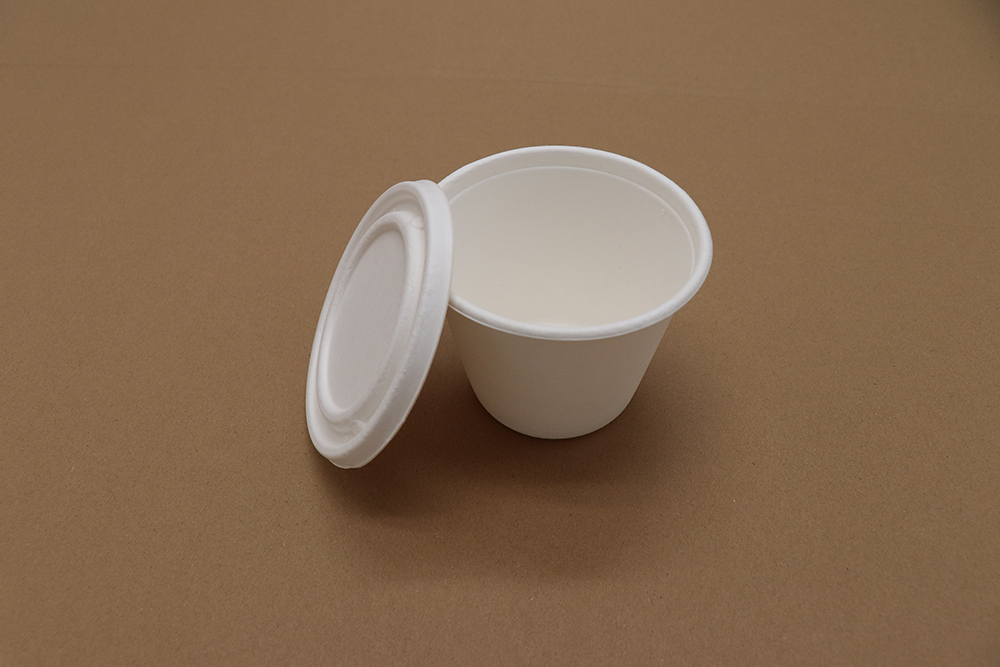 Paper bowl 11