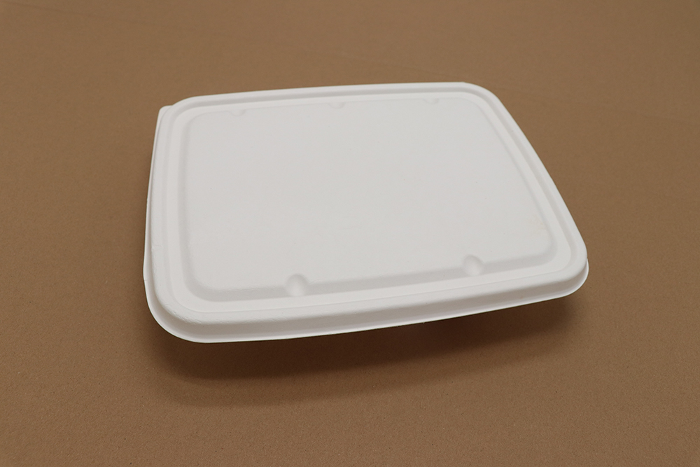 Paper take away box 9