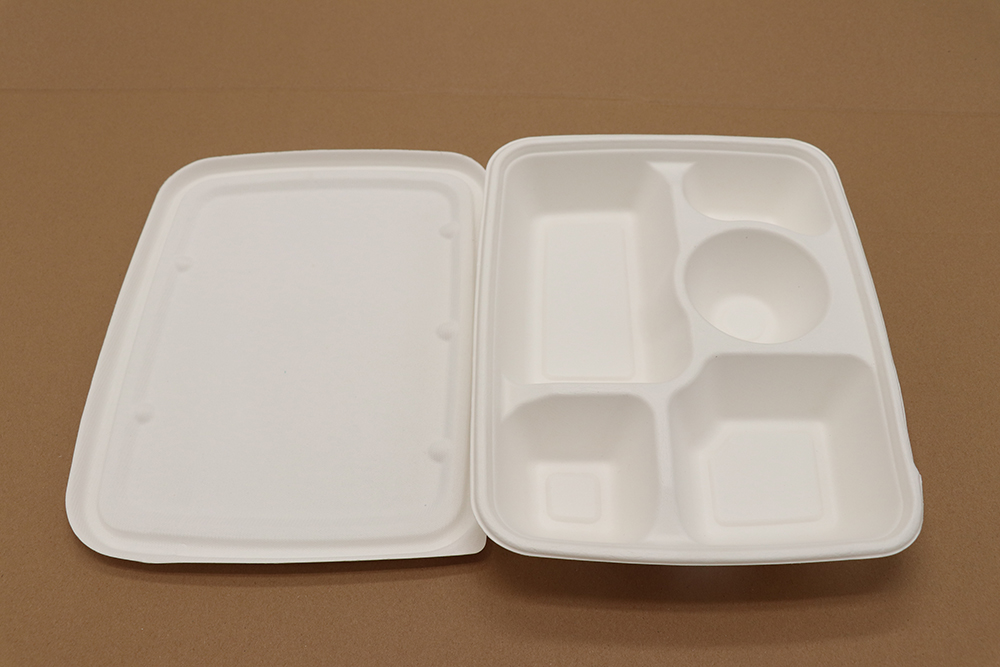 Paper take away box 9