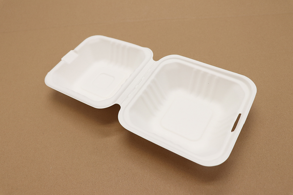 Paper take away box 5