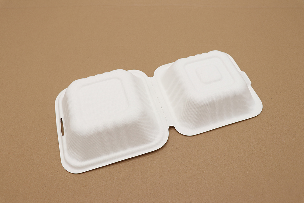 Paper take away box 5