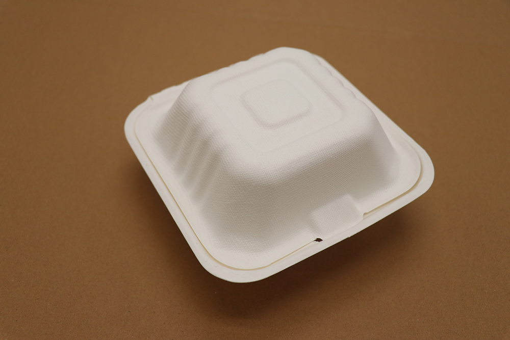 Paper take away box 5