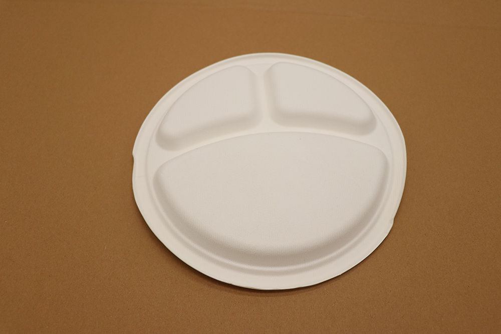 Paper plate 11