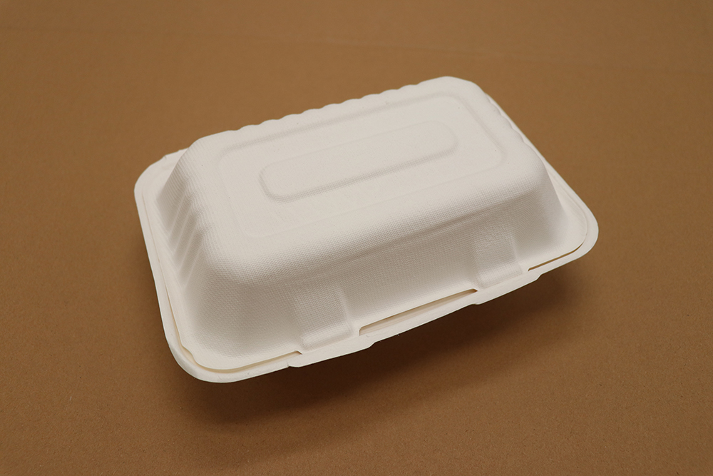 Paper take away box 6