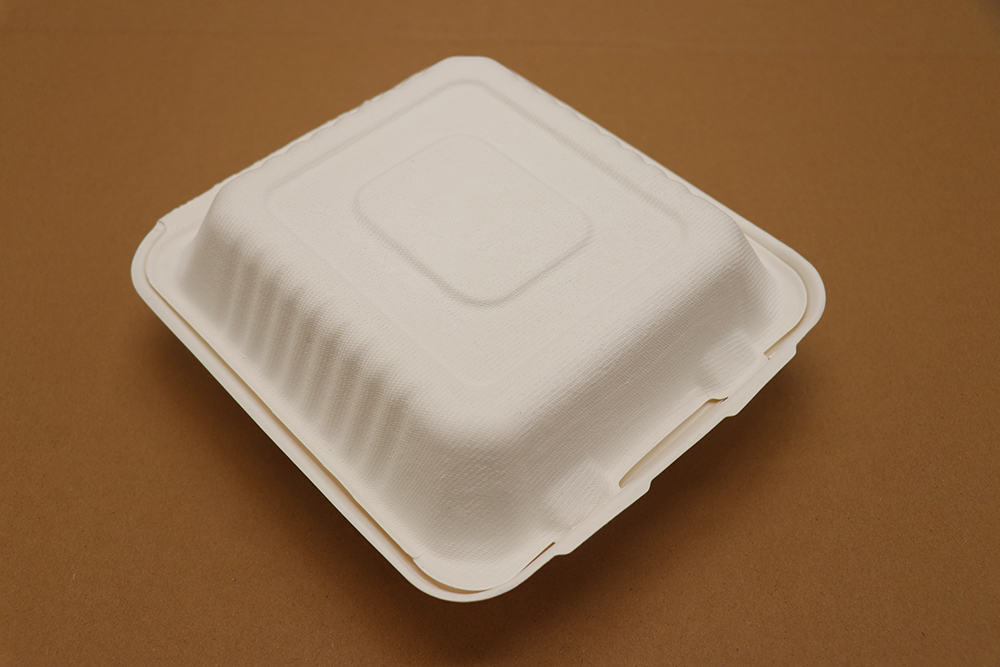 Paper take away box 7