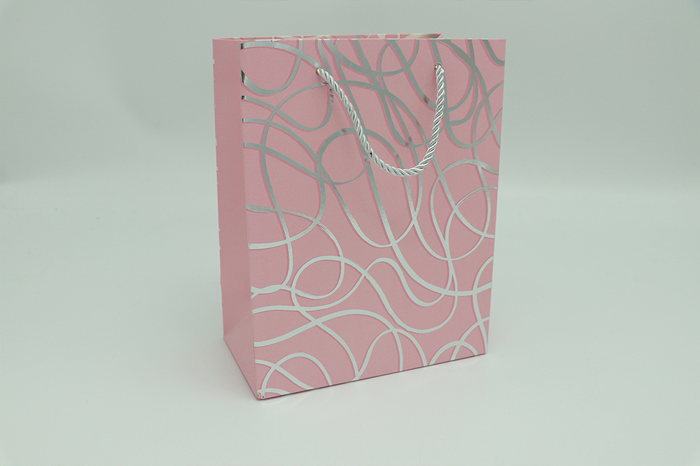 Everyday Gift Bag-Lines