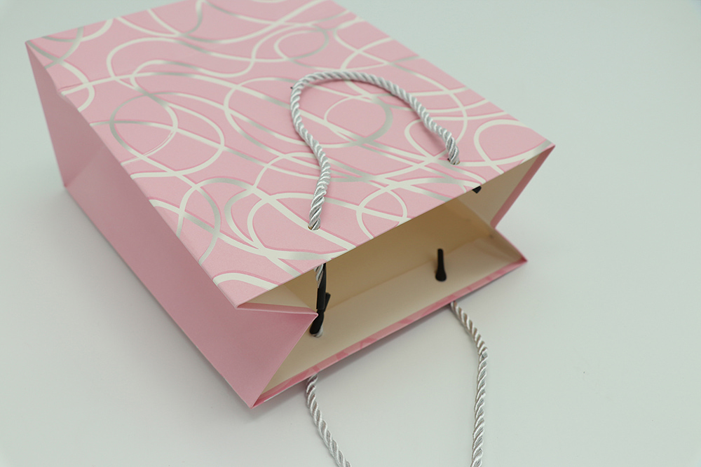 Everyday Gift Bag-Lines