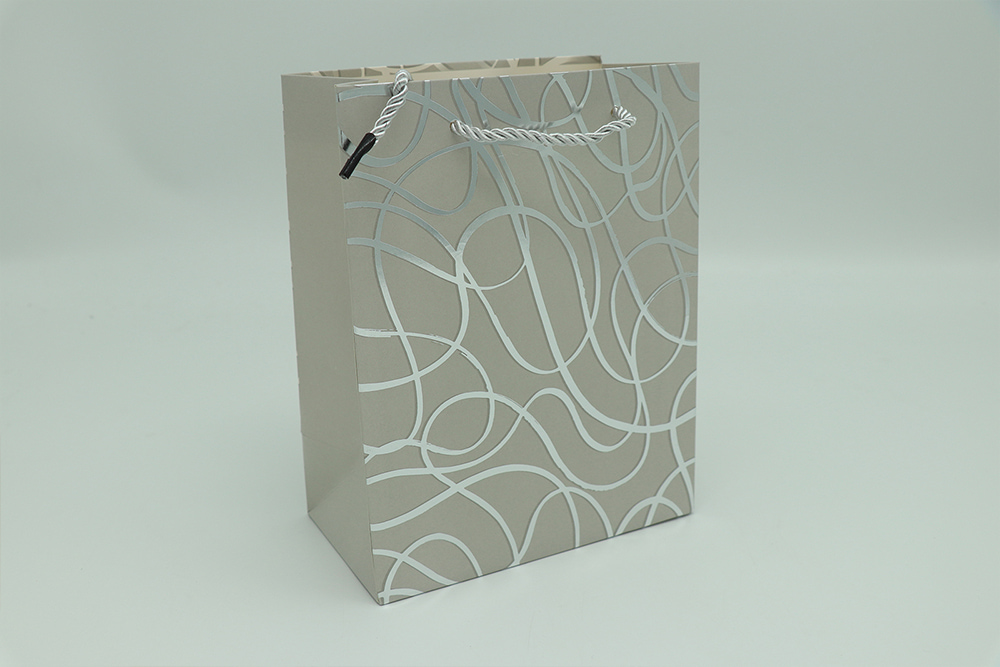 Everyday Gift Bag-Lines