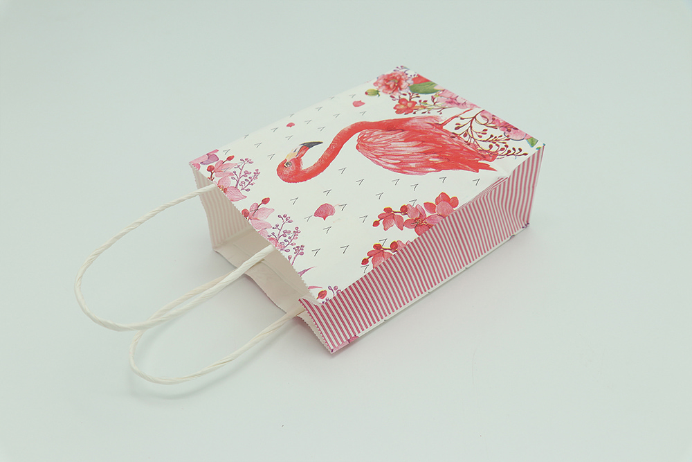 Everyday Gift Bag-Flamingos Patterns