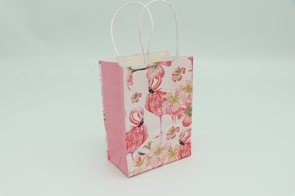 Everyday Gift Bag-Flamingos Patterns