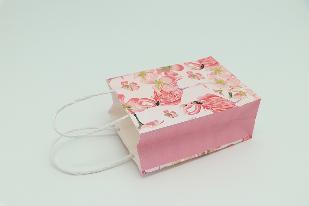 Everyday Gift Bag-Flamingos Patterns