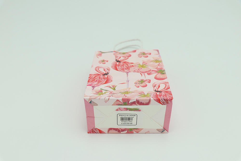 Everyday Gift Bag-Flamingos Patterns