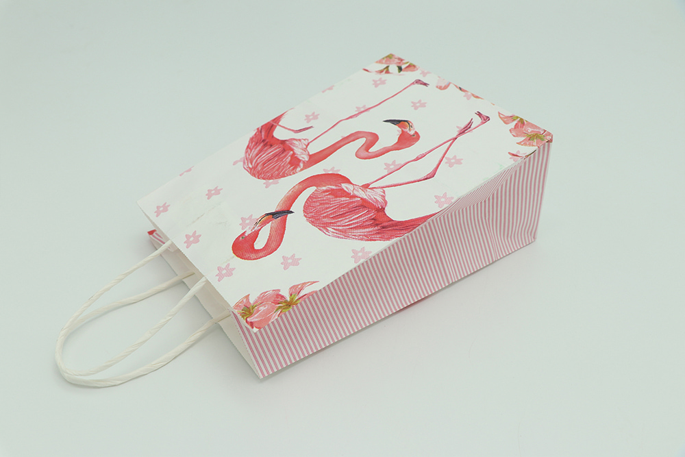 Everyday Gift Bag-Flamingos Patterns