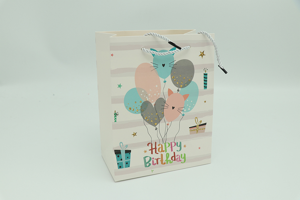 Birthday Gift Bag 6