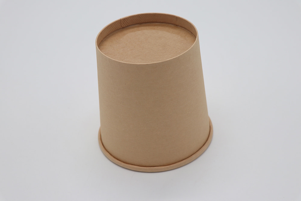 Paper bowl 1