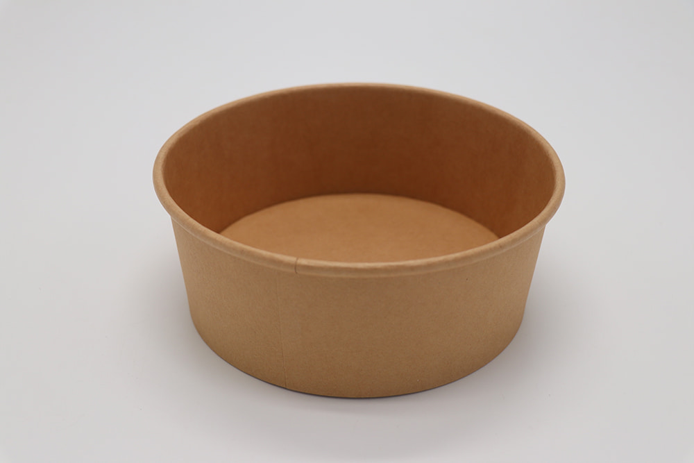 Paper bowl 4