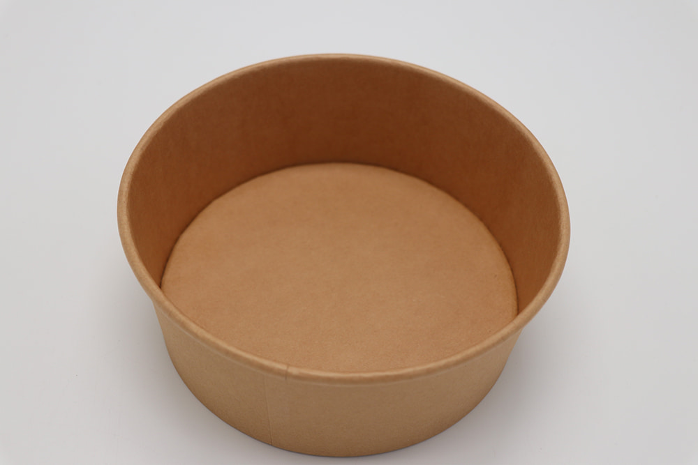 Paper bowl 4