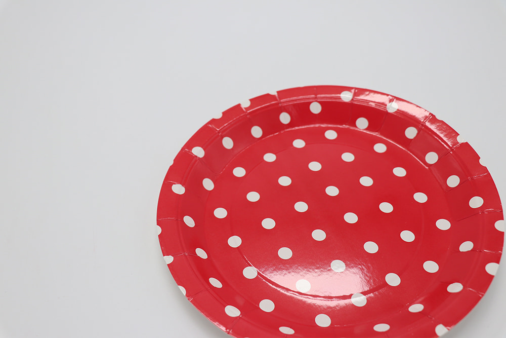 Printed paper plate 6